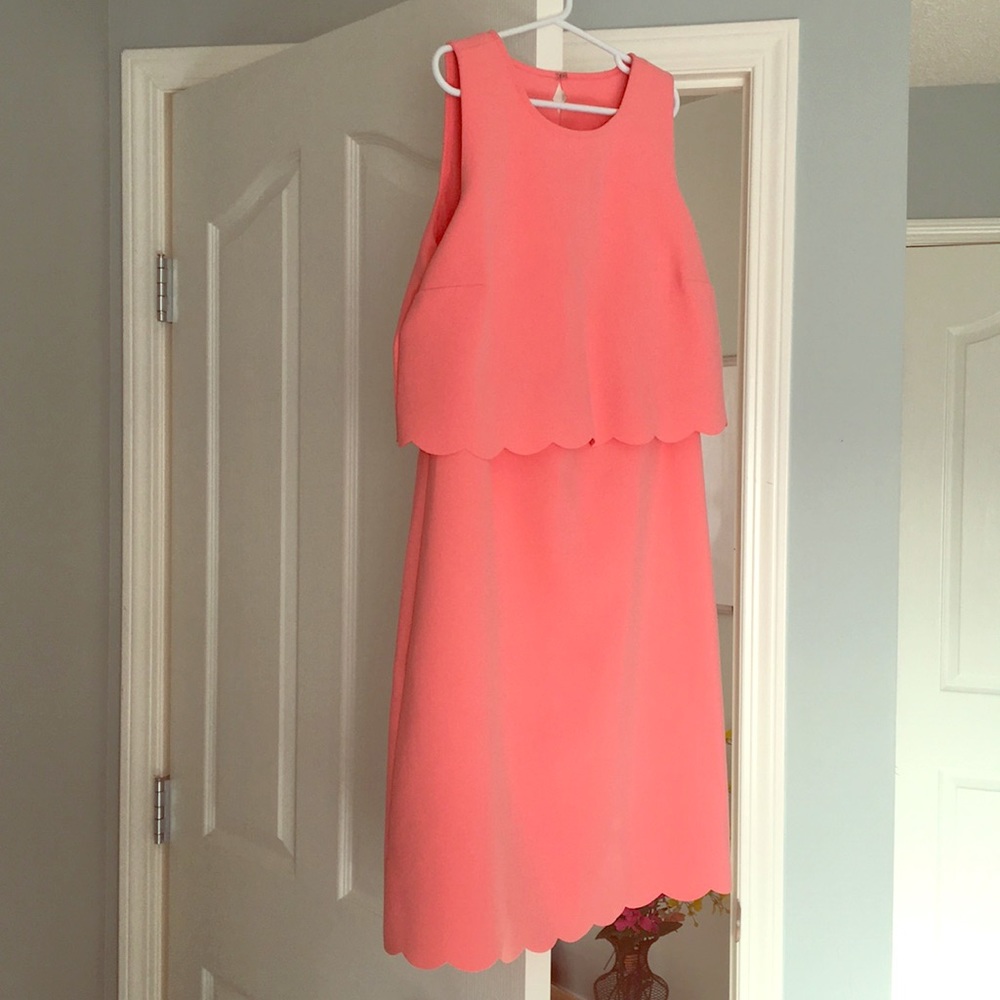 Ann Taylor Loft knee length dress. Size 0.